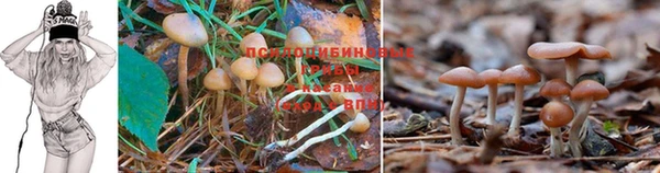 соль курить ск Сафоново