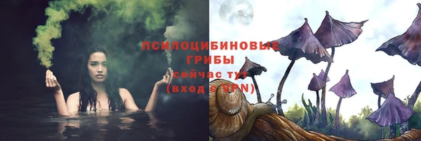 соль ск Сатка