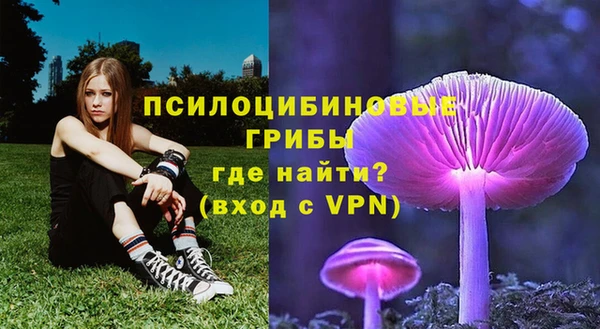 хмурый Саяногорск