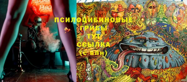 соль ск Сатка
